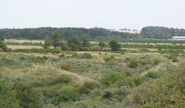 Rubjergvej 207, Mårup